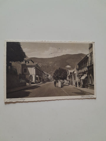 AK Mürzzuschlag. Wienerstraße.