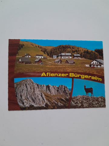 AK Aflenzer Bürgeralm.