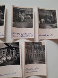 7 Kleine Fotos von der Sonnschienalm 1951.