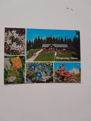 AK Bürgeralpe bei Mariazell.