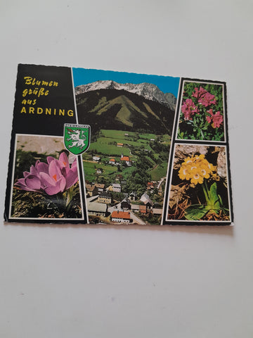 AK Blumengrüße aus Ardning.