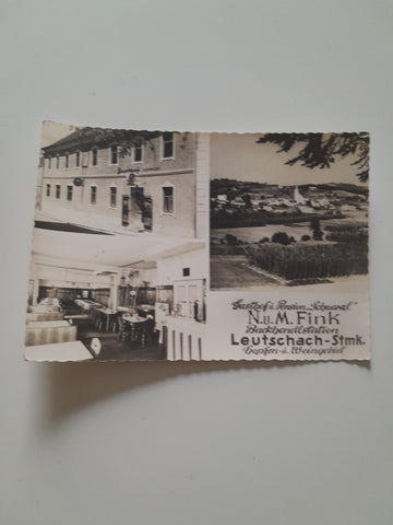 AK Leutschach. Gasthof Pension Schwarzl N. u. M. Fink.