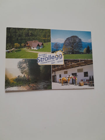AK Strallegg.
