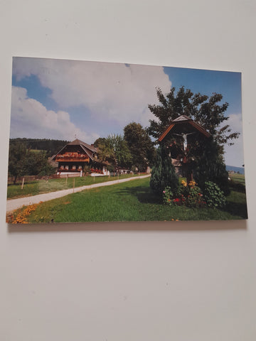 AK Birkfeld. Riedlerhof. Inh. Grabenbauer vlg. Riedler.