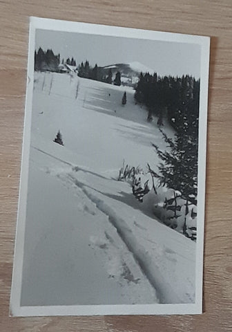 AK Hochlantsch Teichalpe Gasthof Pierer. (1939)