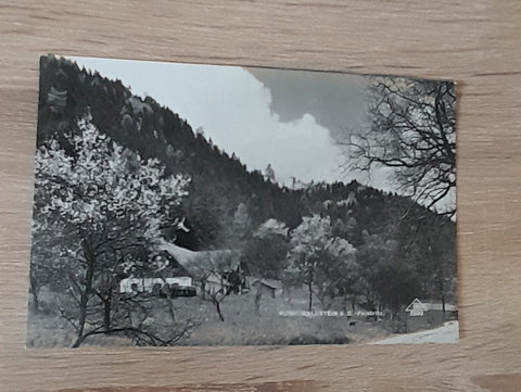 AK Ruine Waldstein. (1931)