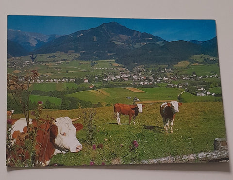 AK Turnau gegen Hochanger.