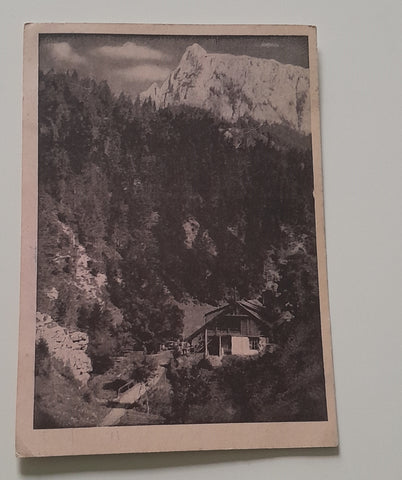 AK Alpengasthof Zum Schwabenbartl mit Mitteralmturm. Fölz bei Aflenz.
