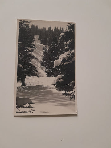 AK Winterleiten. Steilstufe auf der Schmelz (1931)