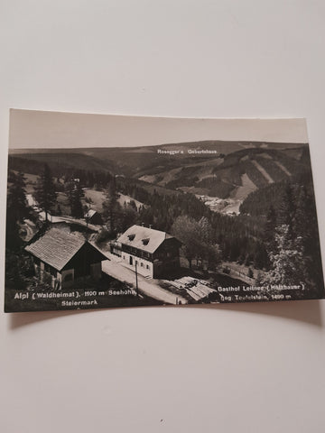 AK Alpl. Gasthof Leitner. (Holzbauer)