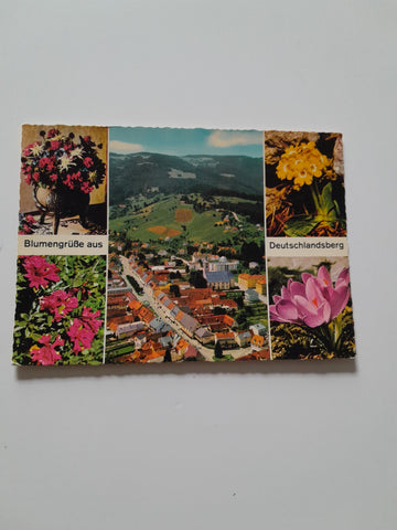 AK Blumengrüße aus Deutschlandsberg.