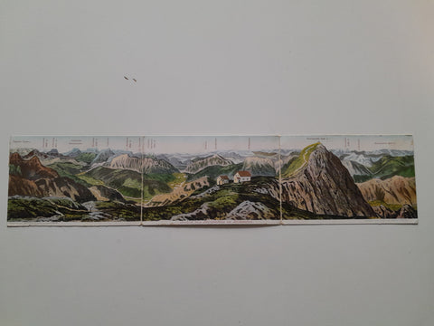 Panorama-AK Ausblick beim Touristenhaus am Reichenstein.