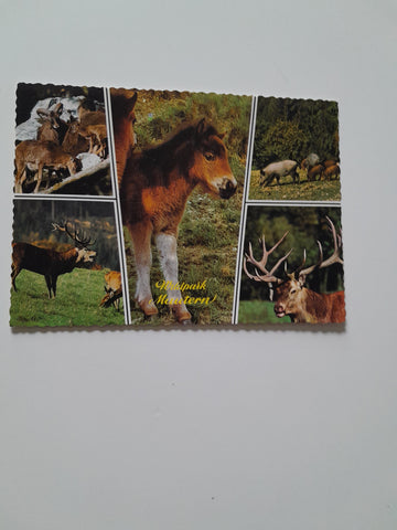 AK Wildpark Mautern.