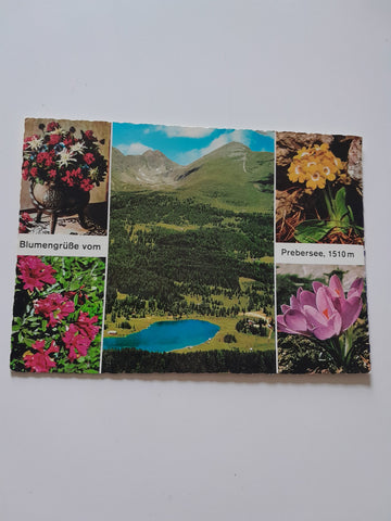 AK Blumengrüße vom Prebersee.