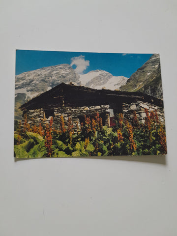 AK Obere Radeckalpe mit Ankogel.