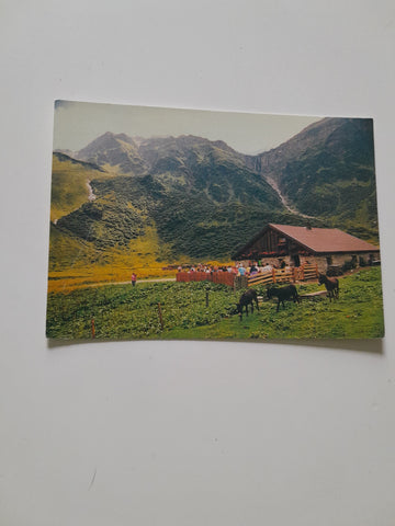 AK Veitbauernhütte im Gasteinertal - hinteres Nassfeld.