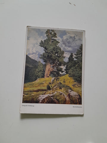 AK Reichebenalm. (Leopold Rothaug)