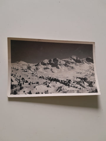 AK Radstädter Tauern Gamskarspitze, Platten- u. Hundskogel.