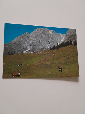 AK Windrauchegg-Alm am Hochkönig. Fam. Gschwandtner-Kreuzberger.