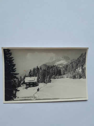 AK Alpengasthof Perner Wörschach.