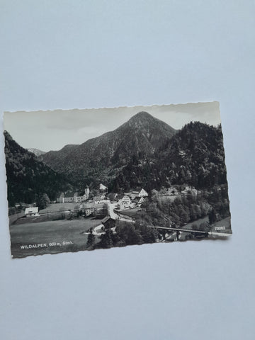 AK Wildalpen.