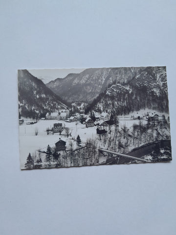 AK Wildalpen.