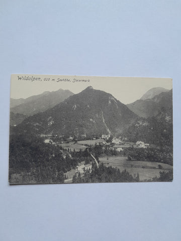AK Wildalpen. (1908)