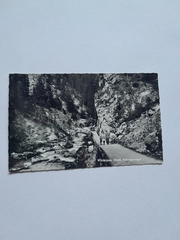 AK Wildalpen. Schreyerenge.