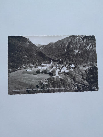 AK Wildalpen.