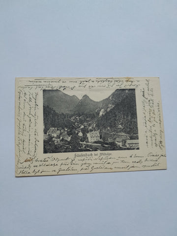 AK Säusenbach bei Wildalpen.