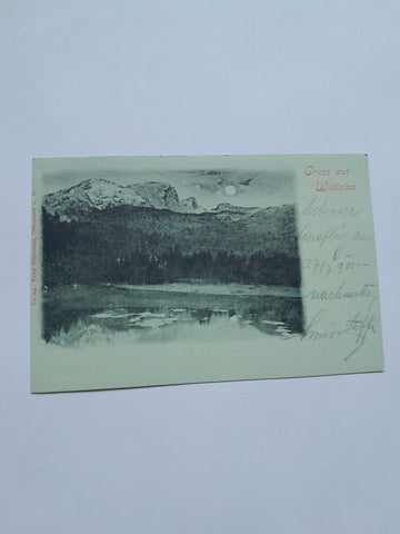 AK Gruss aus Wildalpe.