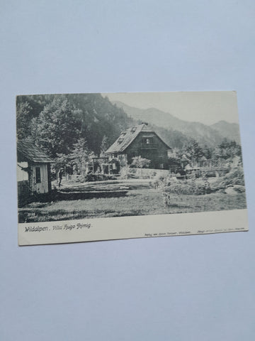 AK Wildalpen. Villa Hugo Thimig.