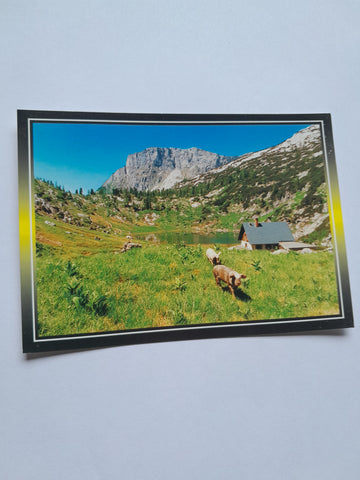 AK Ausserland. Pühringerhütte im Toten Gebirge.