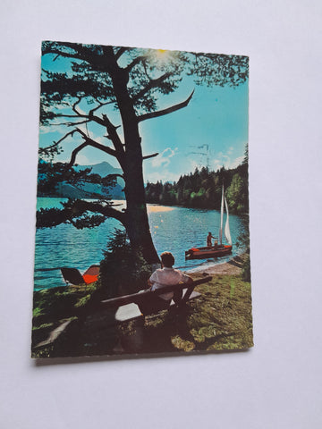 AK Ausserland. Alte Föhre, Grundlsee.