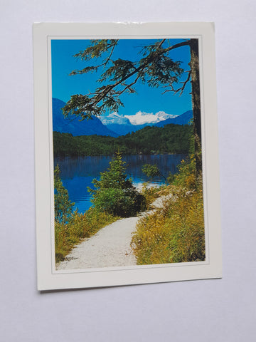 AK Altaussee. Seewiesenweg mit Dachstein.