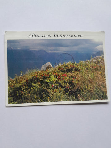 AK Altausseer Impressionen. Almrauschblüte.