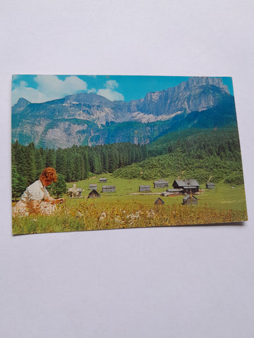 AK Blaa-Alm mit Loser.