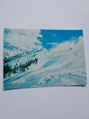 AK Schigelände auf der Schladminger Planei unmittelbar vor der Schladminger Hütte.