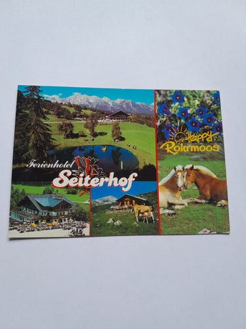 AK Schladming. Obertal Rohrmoos. Ferienhotel Seiterhof.