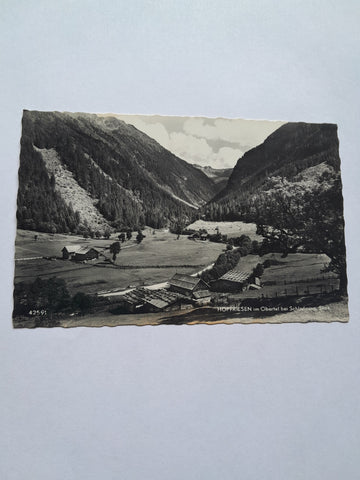 AK Hopfriesen im Obertal bei Schladming. (1959)