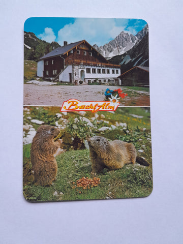AK Ramsau - Hachau. Alpengasthof Bachlalm Bes. Familie Steiner.