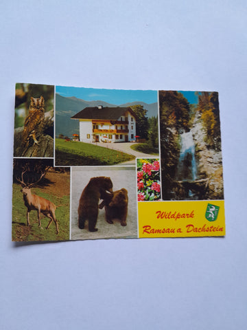 AK Wildpark. Ramsau am Dachstein. Gasthof Pension Wildpark Burgstaller. F. u. B. Steiner.