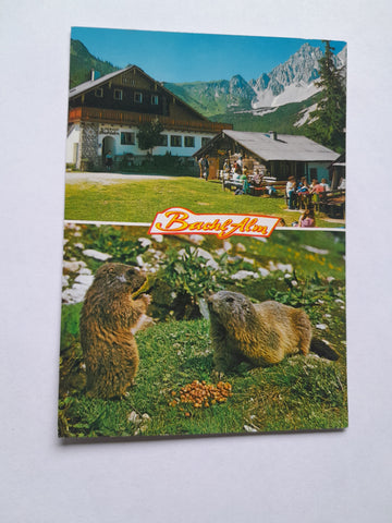 AK Ramsau - Hachau. Alpengasthof Bachlalm. Familie Steiner.