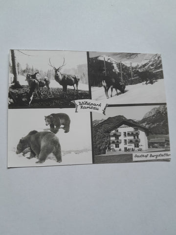 AK Wildpark Ramsau. Gasthof Burgstaller.