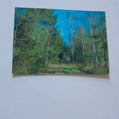 AK Holzöster-Franking. Ibmer Moor.