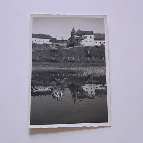 AK Waldneukirchen. Hubertushof. Franz Wallner.