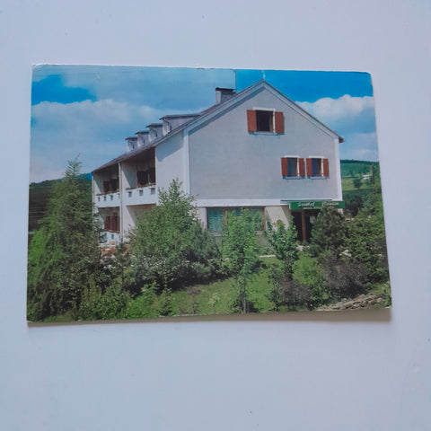AK Bad Leonfelden. Gasthof Pension Haus Brunnwald.
