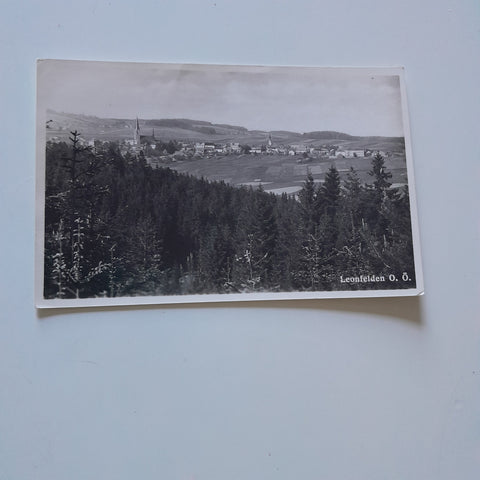 AK Leonfelden.