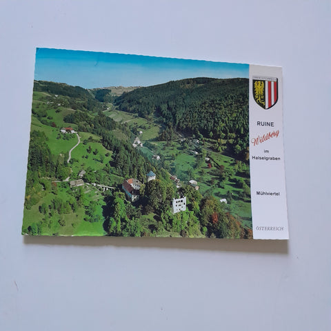 AK Ruine Wildberg im Haselgraben.