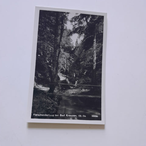 AK Fleischanderlweg bei Bad Kreuzen. (1936)